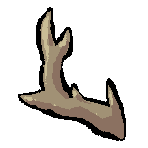a brown deer antler